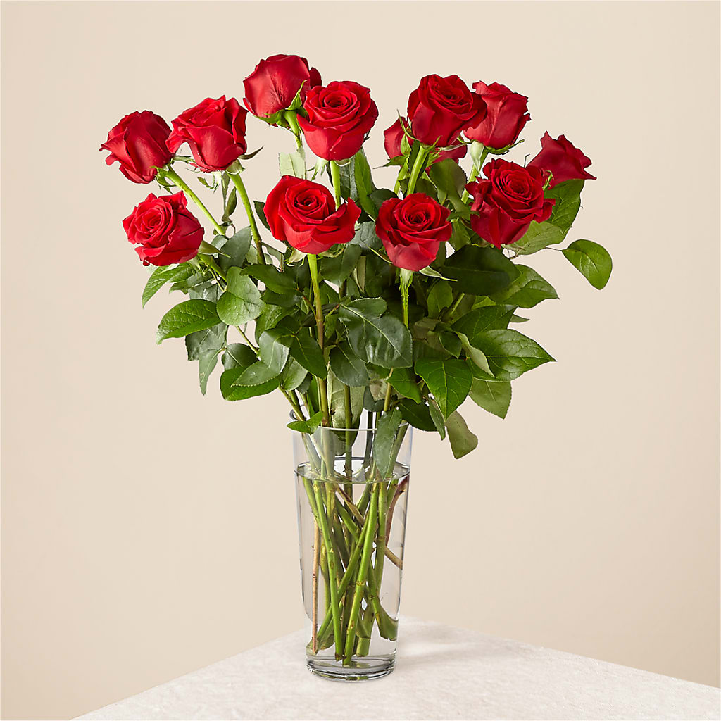 Long Stem Red Rose Bouquet – Accents By Jenny, Park Ridge IL