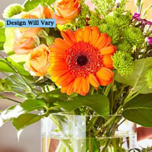 Bright Designers Choice – Accents By Jenny, Park Ridge IL