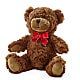 Adorable Plush Bear – Accents By Jenny, Park Ridge IL