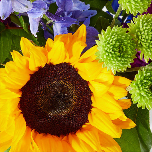Catching Rays Bouquet – Accents By Jenny, Park Ridge IL