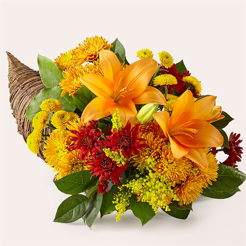 Feast of Color Cornucopia – Accents By Jenny, Park Ridge IL