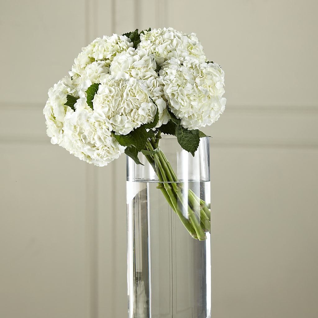 White Hydrangea Hand-Tied Bouquet – Accents By Jenny, Park Ridge IL