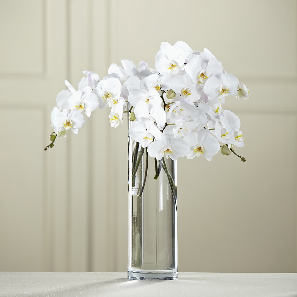 White Phalaenopsis Bouquet – Accents By Jenny, Park Ridge IL