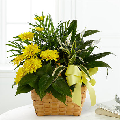 Loving Light Dishgarden –  Accents By Jenny, Park Ridge IL