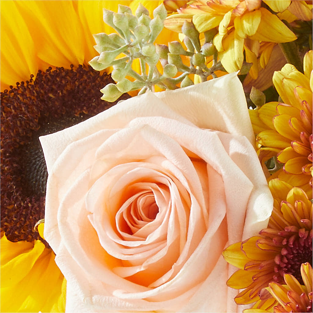 Pumpkin to Talk About Bouquet –  Accents By Jenny, Park Ridge IL