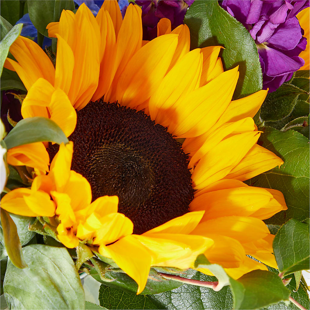 Catching Rays Bouquet –  Accents By Jenny, Park Ridge IL