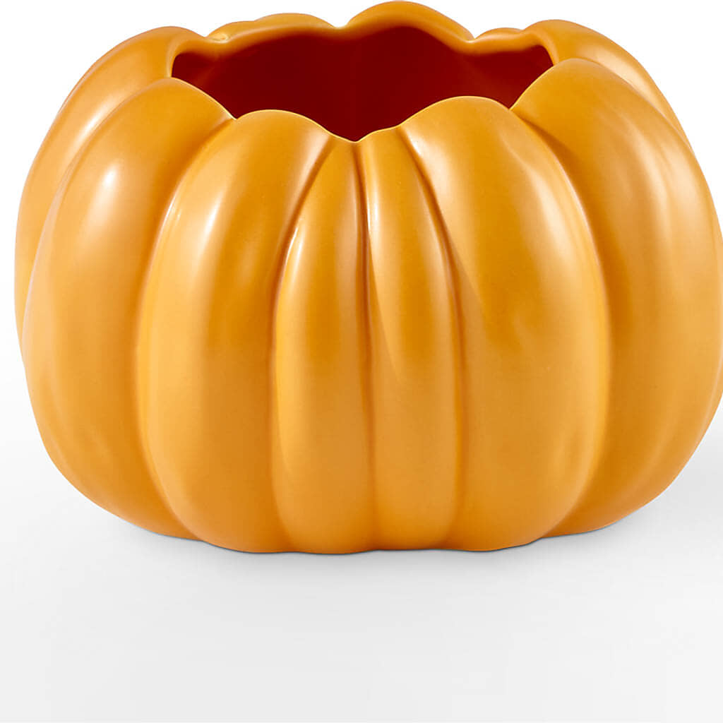 Pick of the Patch Pumpkin Bouquet –  Accents By Jenny, Park Ridge IL
