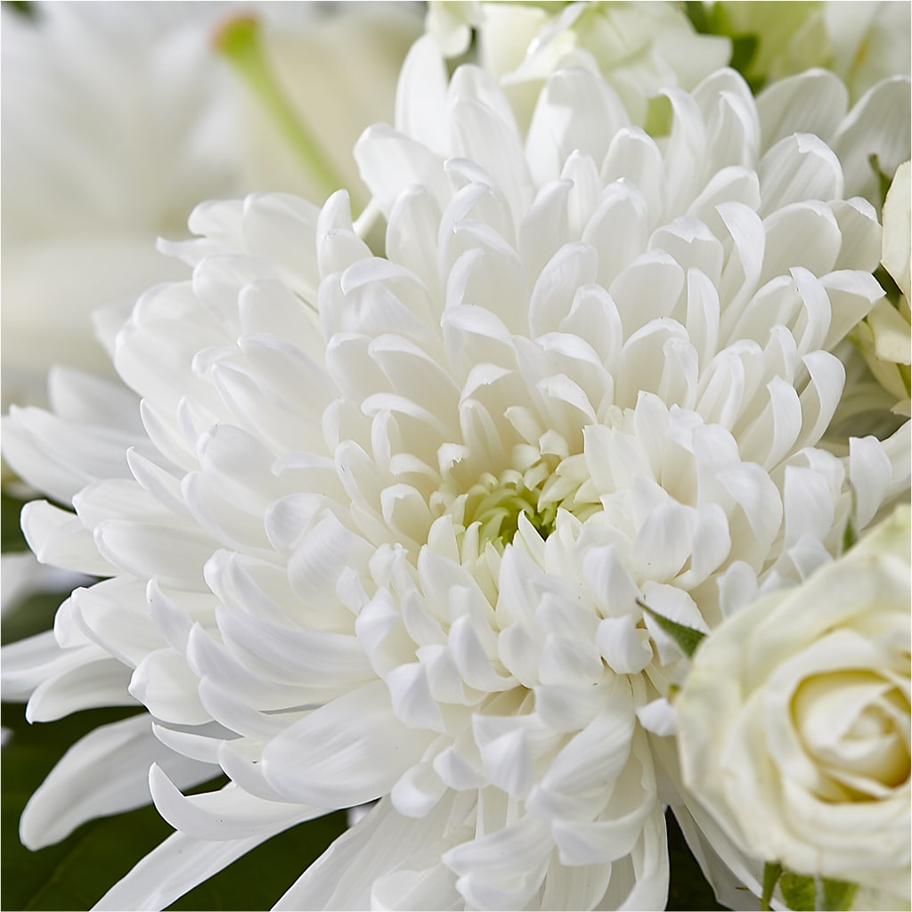 Classic Ivory – A Florist Original –  Accents By Jenny, Park Ridge IL