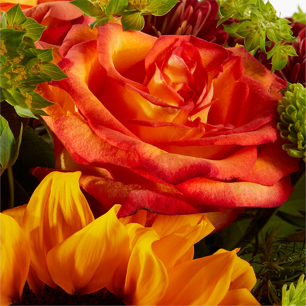 Harvest Festival Bouquet –  Accents By Jenny, Park Ridge IL