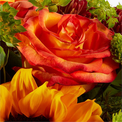 Harvest Festival Bouquet –  Accents By Jenny, Park Ridge IL