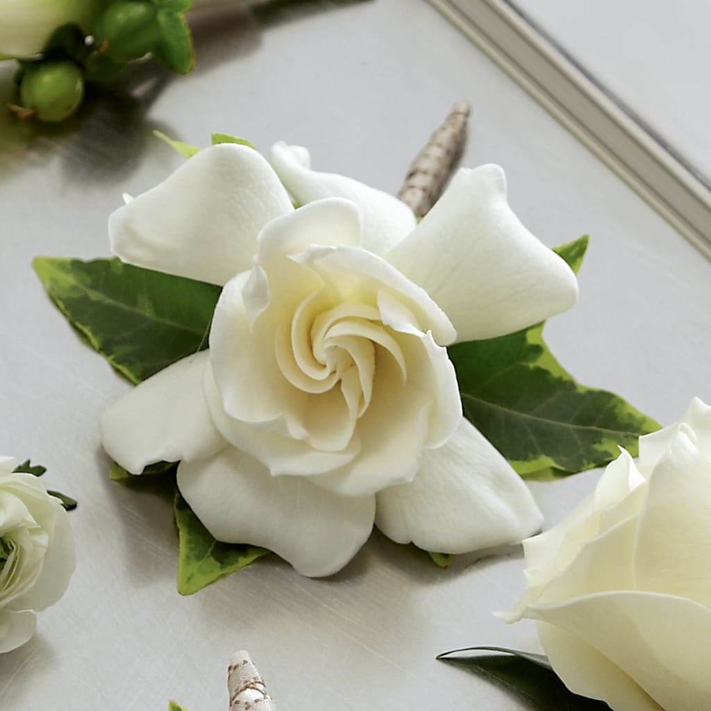 Gardenia Boutonniere –  Accents By Jenny, Park Ridge IL