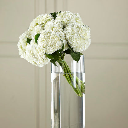 White Hydrangea Hand-Tied Bouquet –  Accents By Jenny, Park Ridge IL