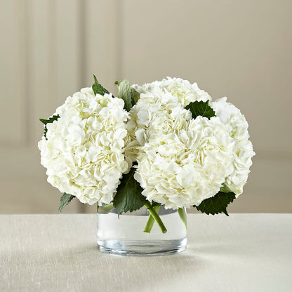 White Hydrangea Bouquet –  Accents By Jenny, Park Ridge IL
